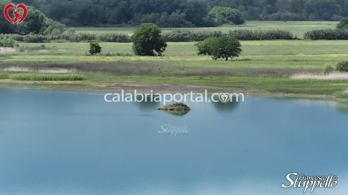 Scorcio del Lago dell'Esaro a Roggiano Gravina Scorcio del Lago dell'Esaro a Roggiano Gravina