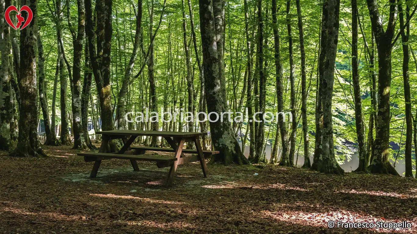 Scorcio dell'Area Picnic a Laghicello di San Benedetto Ullano