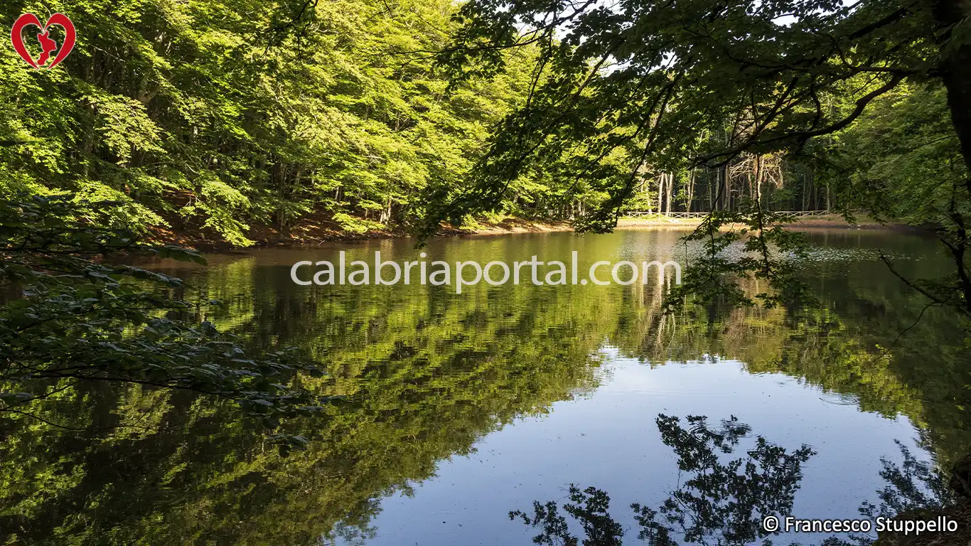 Laghicello a San Benedetto Ullano (Calabria)