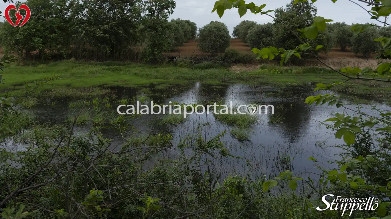 Lago di Fedula a San Lorenzo del Vallo Lago di Fedula a San Lorenzo del Vallo