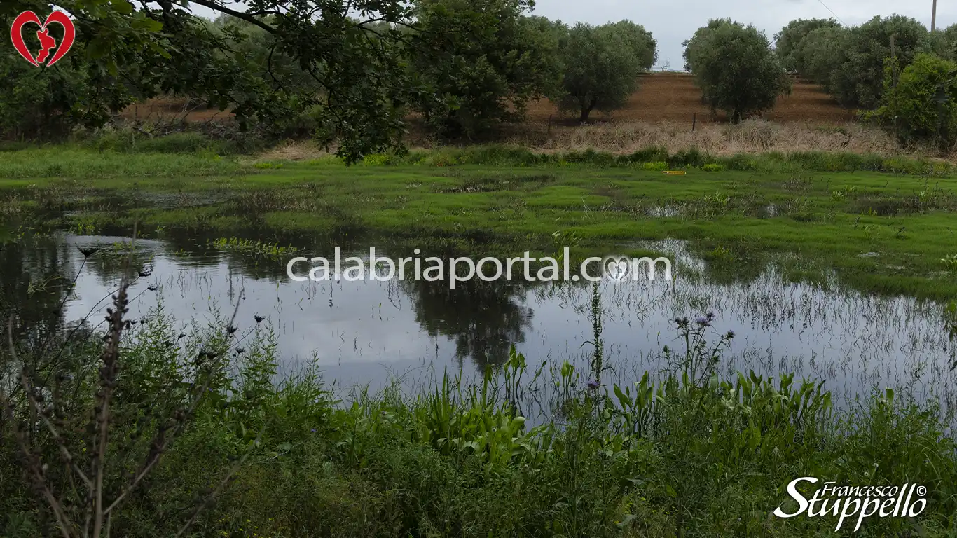 Lago di Fedula a San Lorenzo del Vallo Lago di Fedula a San Lorenzo del Vallo