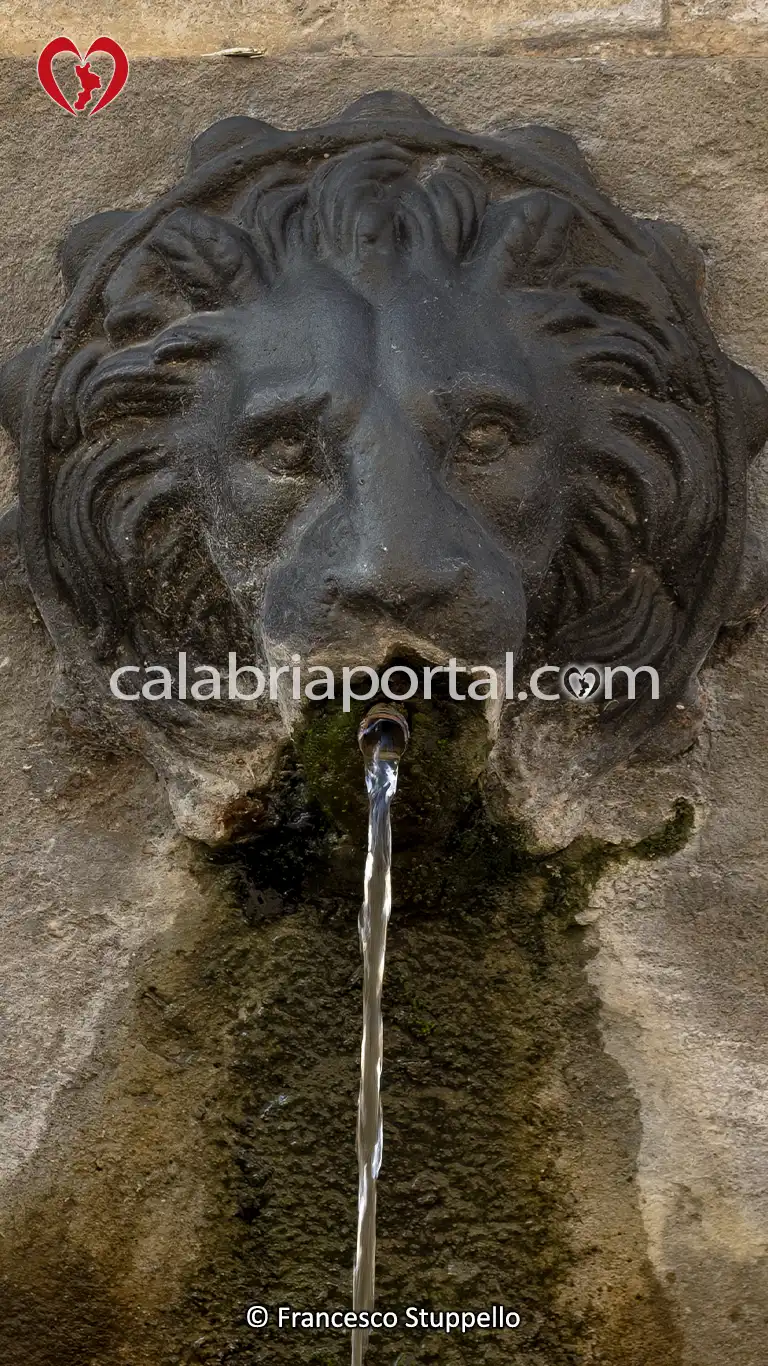 Testa di Leone della Fontana di Sichelgaita a San Marco Argentano (CS) Testa di Leone della Fontana di Sichelgaita a San Marco Argentano (CS)
