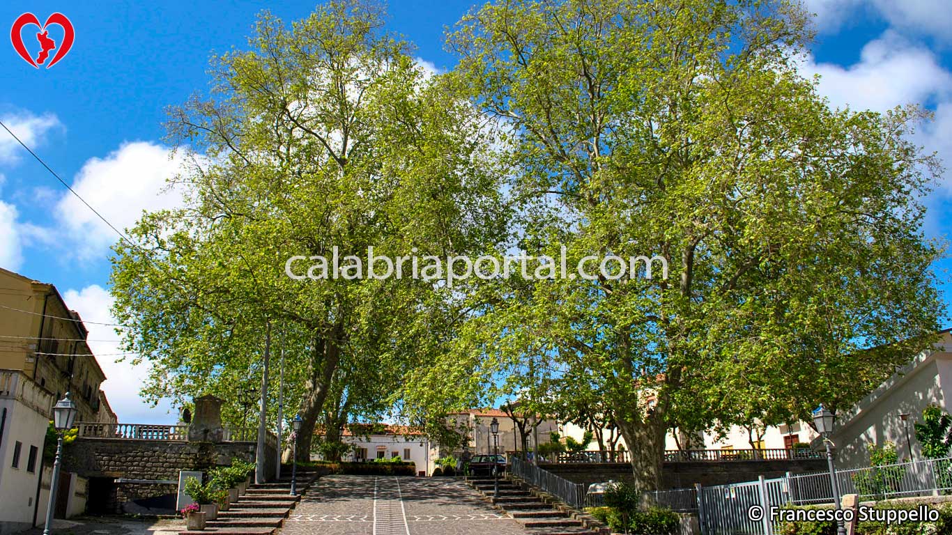 Scorcio del Borgo di San Pietro in Amantea (CS) Scorcio del Borgo di San Pietro in Amantea (CS)