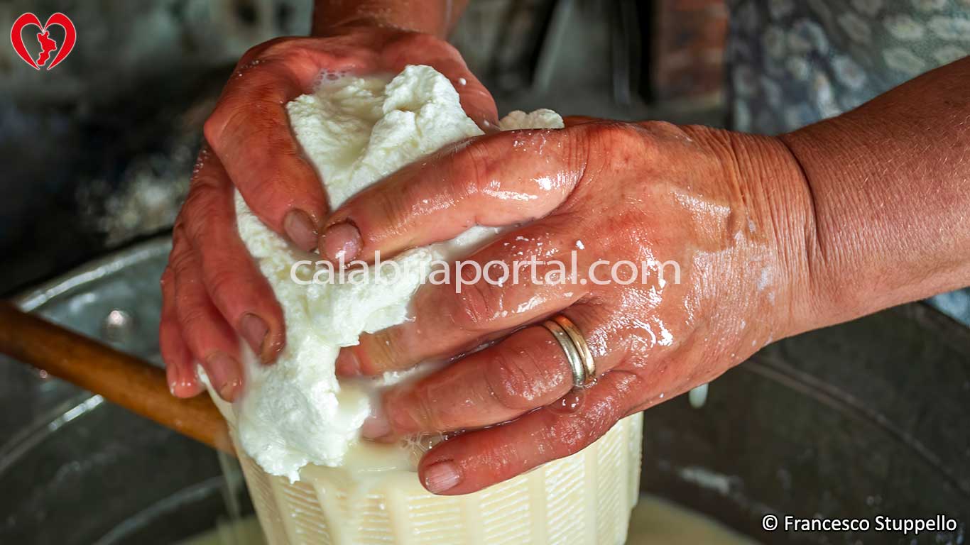 Prodotti Tipici di Sant'Angelo di Cetraro (CS)