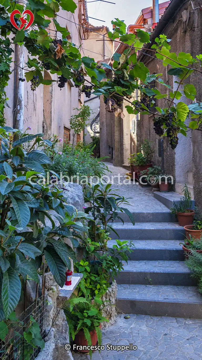 Scorcio del Centro Storico di Santa Domenica Talao