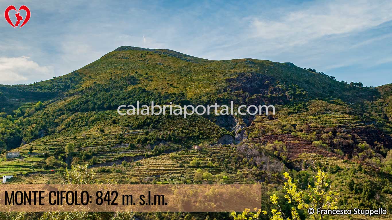 Monte Cifolo