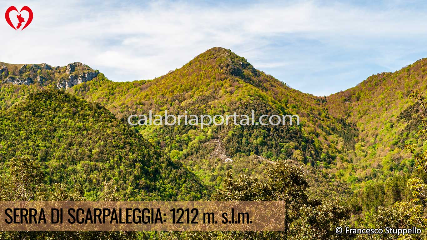 Monte Serra di Scarpaleggia