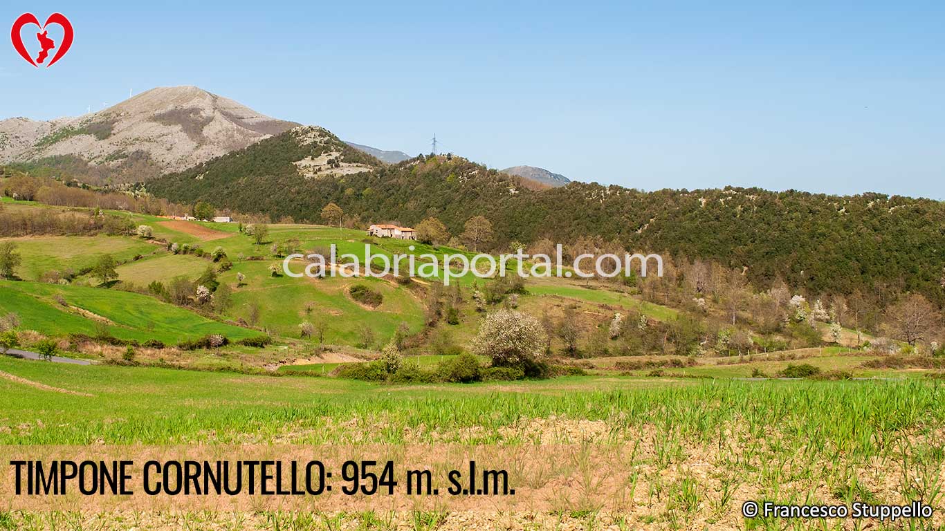 Timpone Cornutello