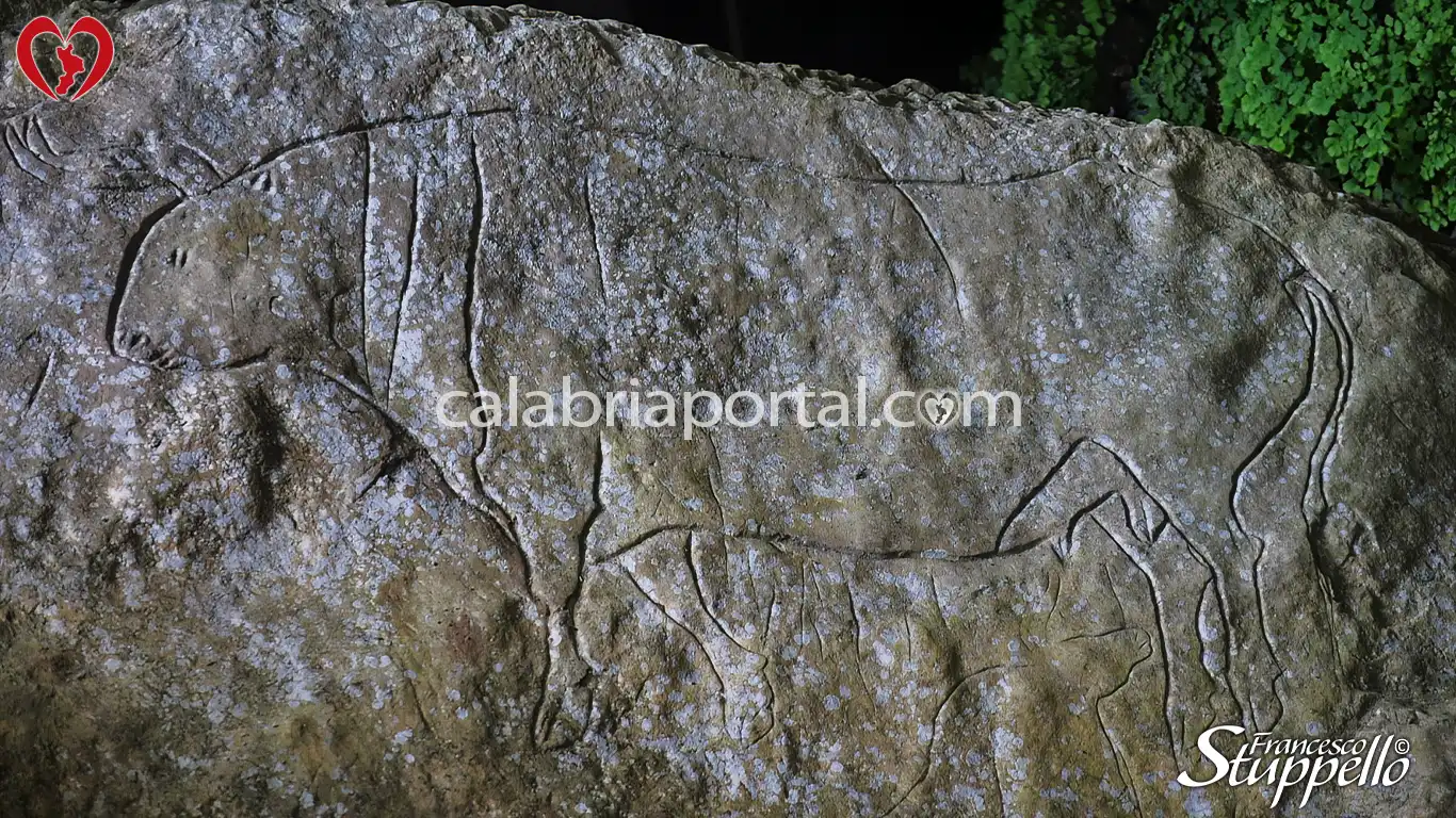 Graffito dell'Uro presso la Grotta del Romito a Papasidero Graffito dell'Uro presso la Grotta del Romito a Papasidero