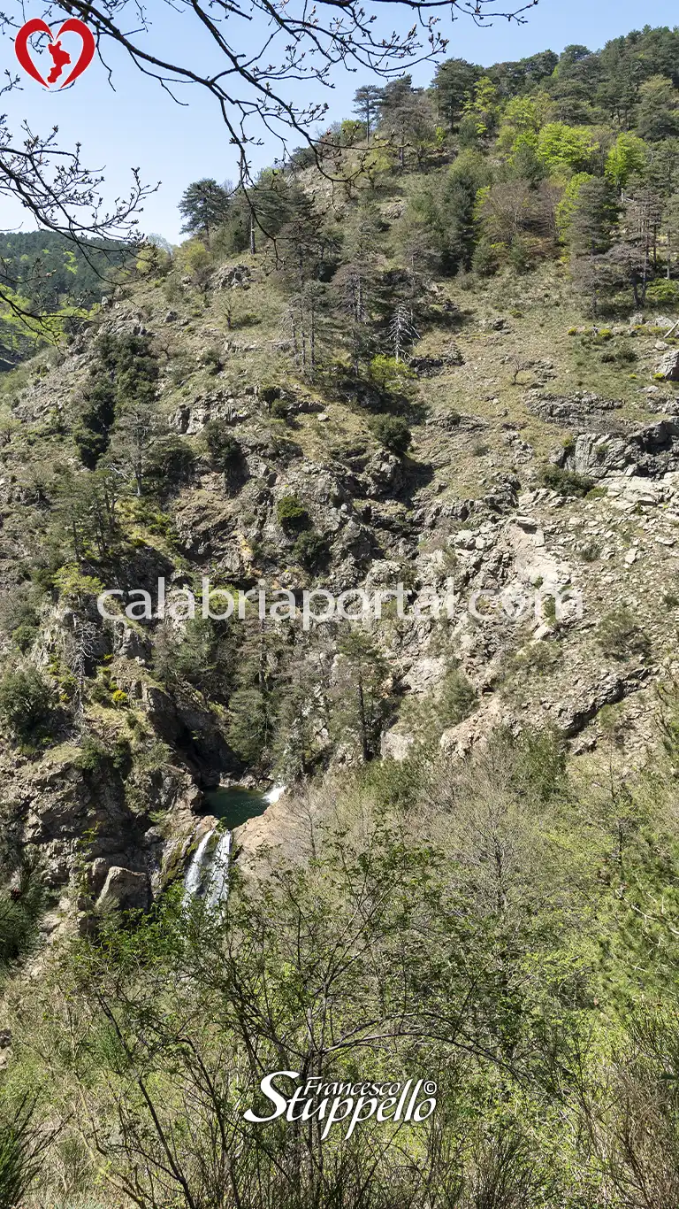 L'area delle Cascate dell'Amendolea nel Parco Nazionale dell'Aspromonte L'area delle Cascate dell'Amendolea nel Parco Nazionale dell'Aspromonte
