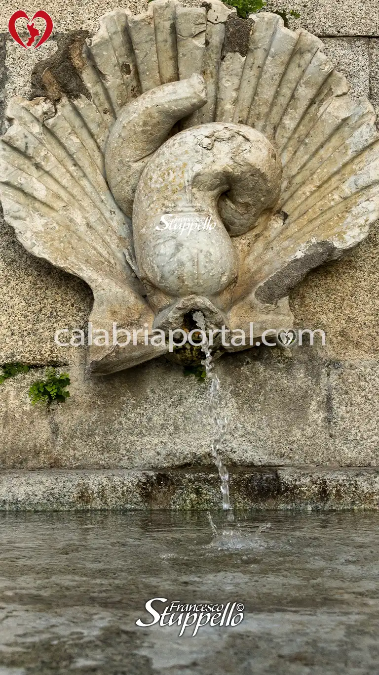 Bocca a Conchiglia con Delfino della Fontana del Commercio a Pizzo Bocca a Conchiglia con Delfino della Fontana del Commercio a Pizzo