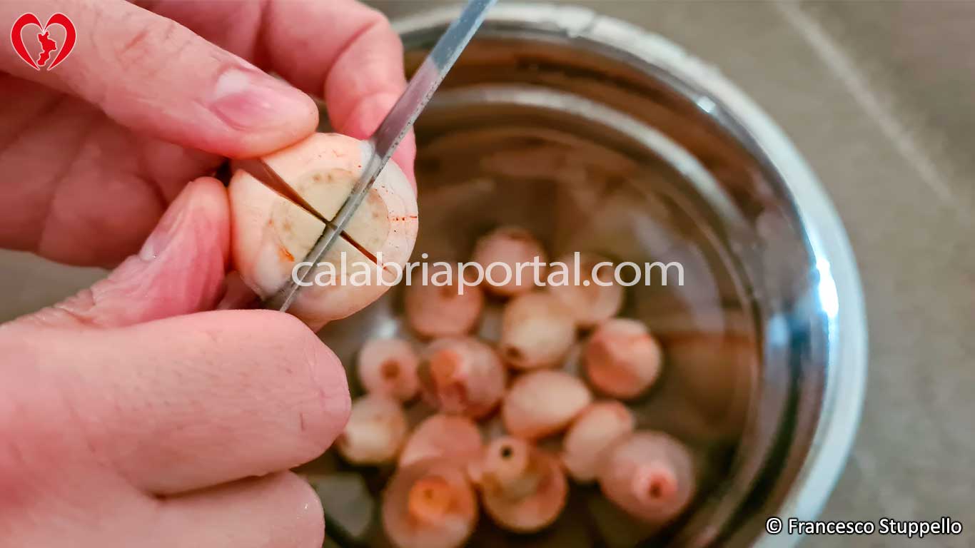 Lavate e Incidete le Cipolline alla Base Lavate e Incidete le Cipolline alla Base