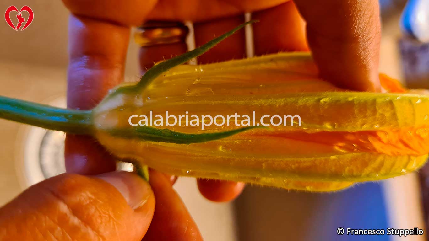 Ricetta dei Fiori di Zucca alla Calabrese: Lavate e Pulite i Fiori Ricetta dei Fiori di Zucca alla Calabrese: Lavate e Pulite i Fiori