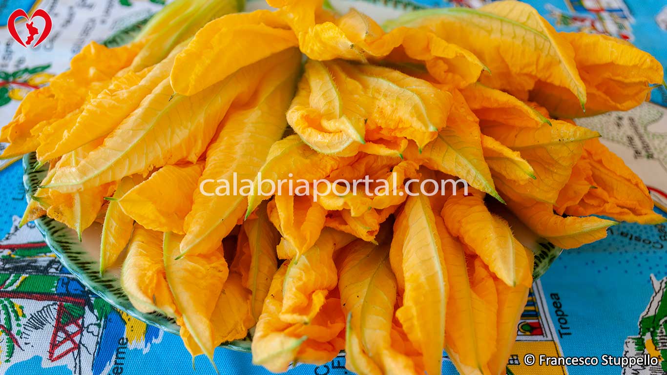 Ricetta dei Fiori di Zucca Ripieni alla Calabrese: i Fiori Ricetta dei Fiori di Zucca Ripieni alla Calabrese: i Fiori