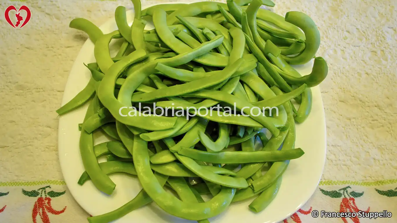Ricetta Calabrese dell'Insalata di Fagiolini e Zucchine Ricetta Calabrese dell'Insalata di Fagiolini e Zucchine
