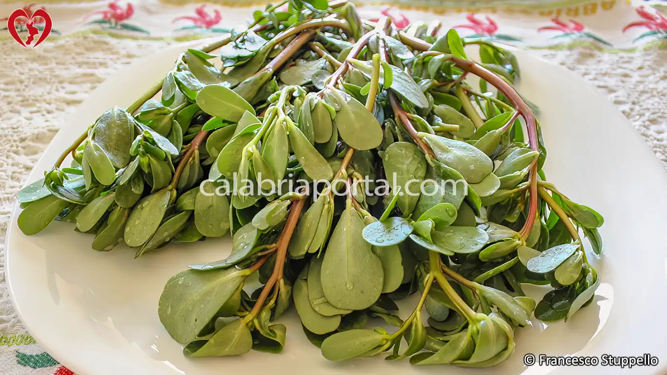 Ricetta dell'Insalata di Portulaca alla Calabrese