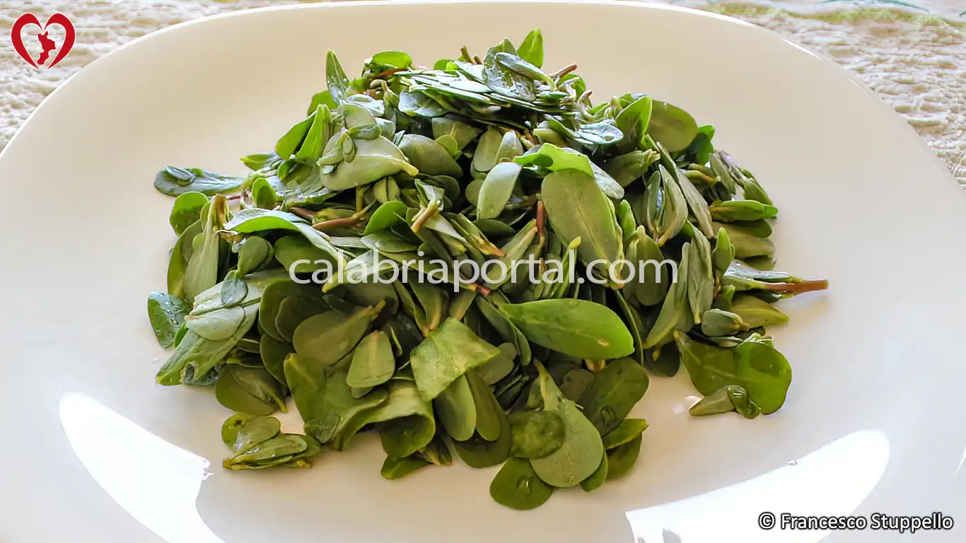 Ricetta dell'Insalata di Portulaca alla Calabrese