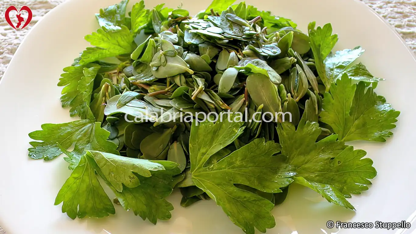 Ricetta dell'Insalata di Portulaca alla Calabrese