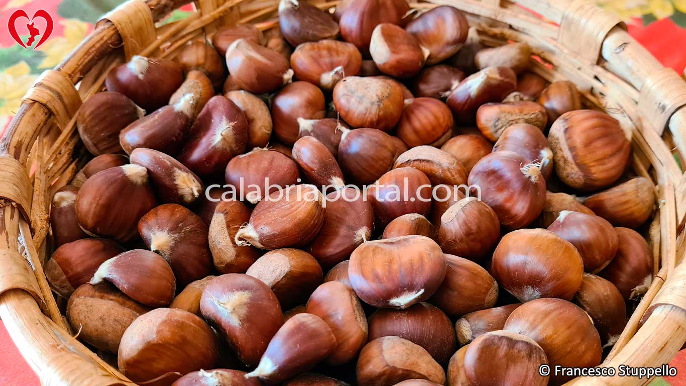 Lucerne di Castagne: le Castagne