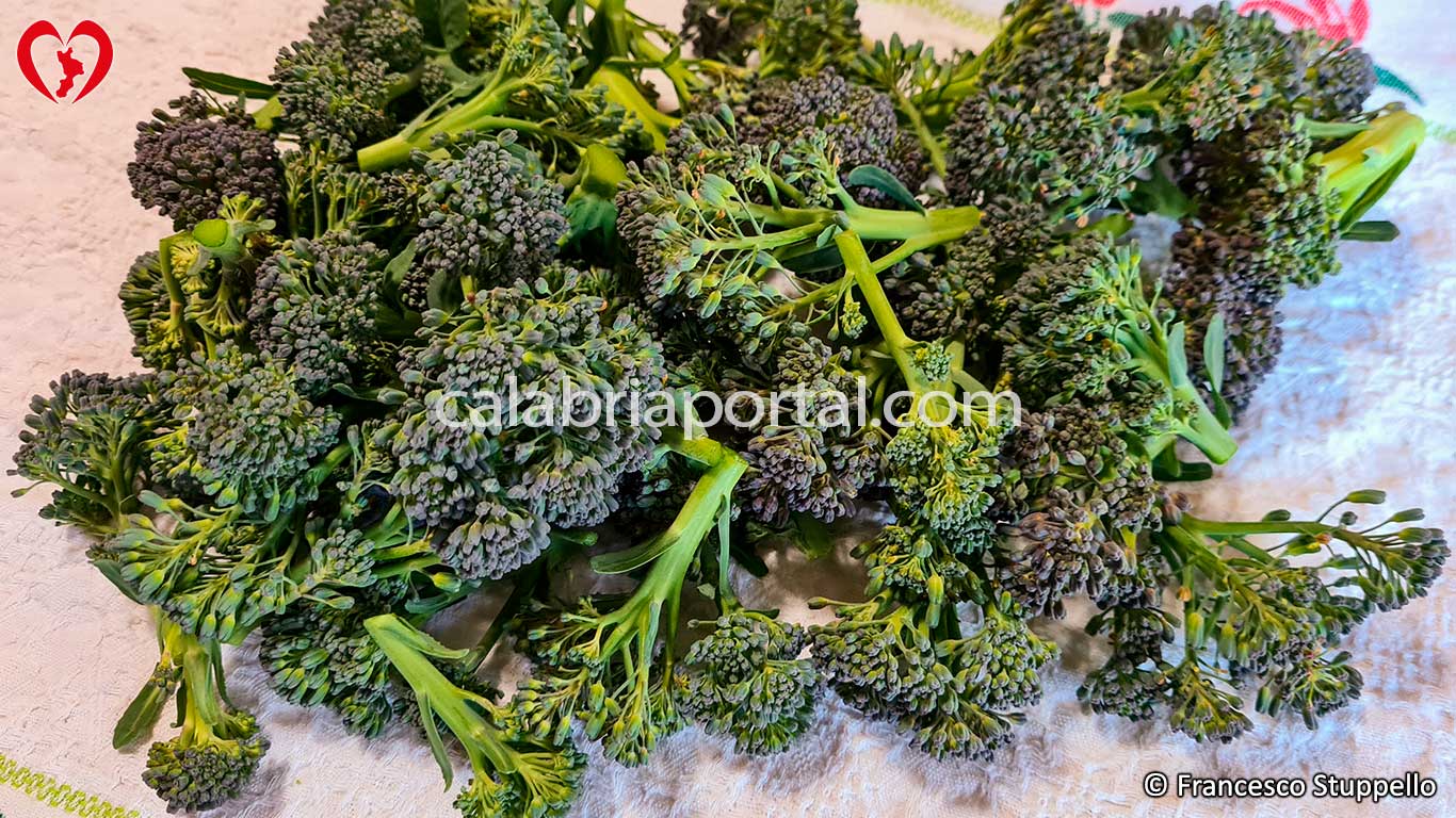Cime di Broccolo Nero