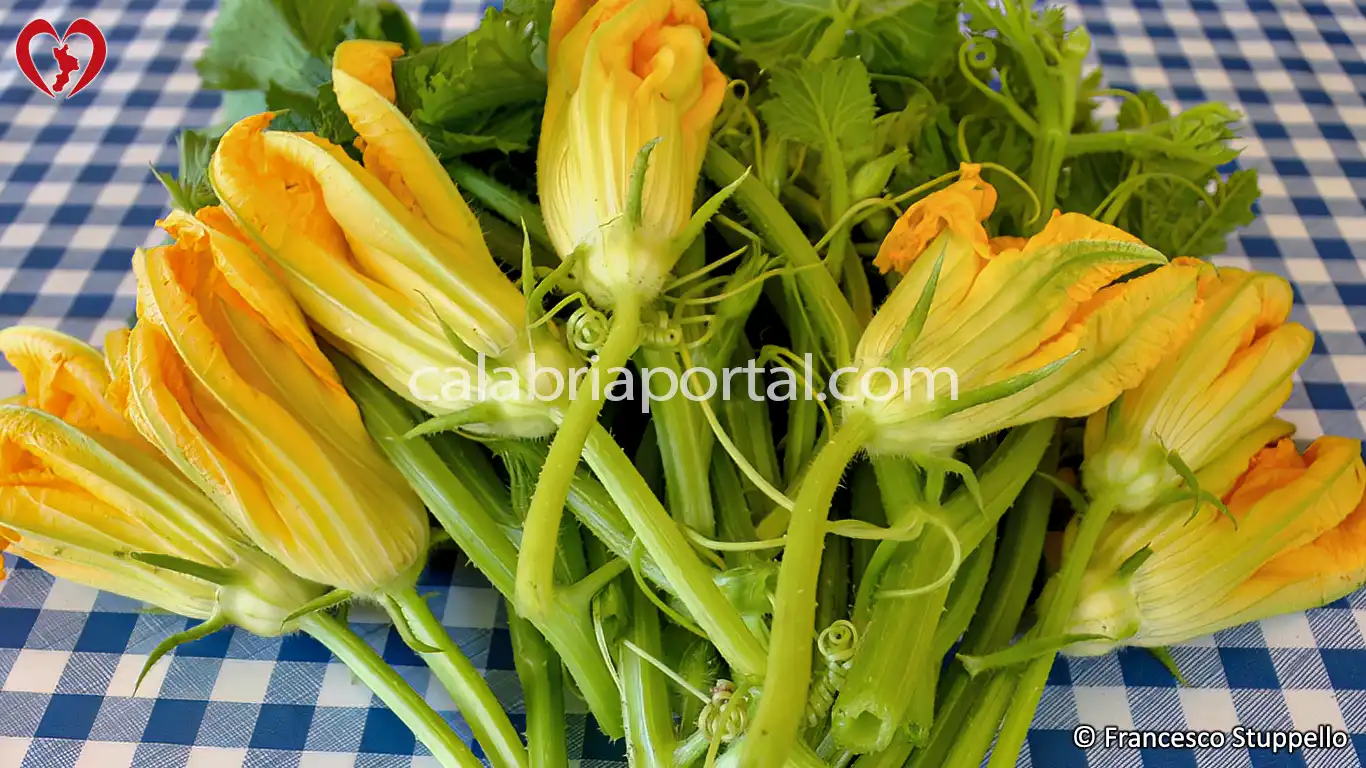 Ricetta della Pasta di Talli e Fiori di Zucca alla Calabrese