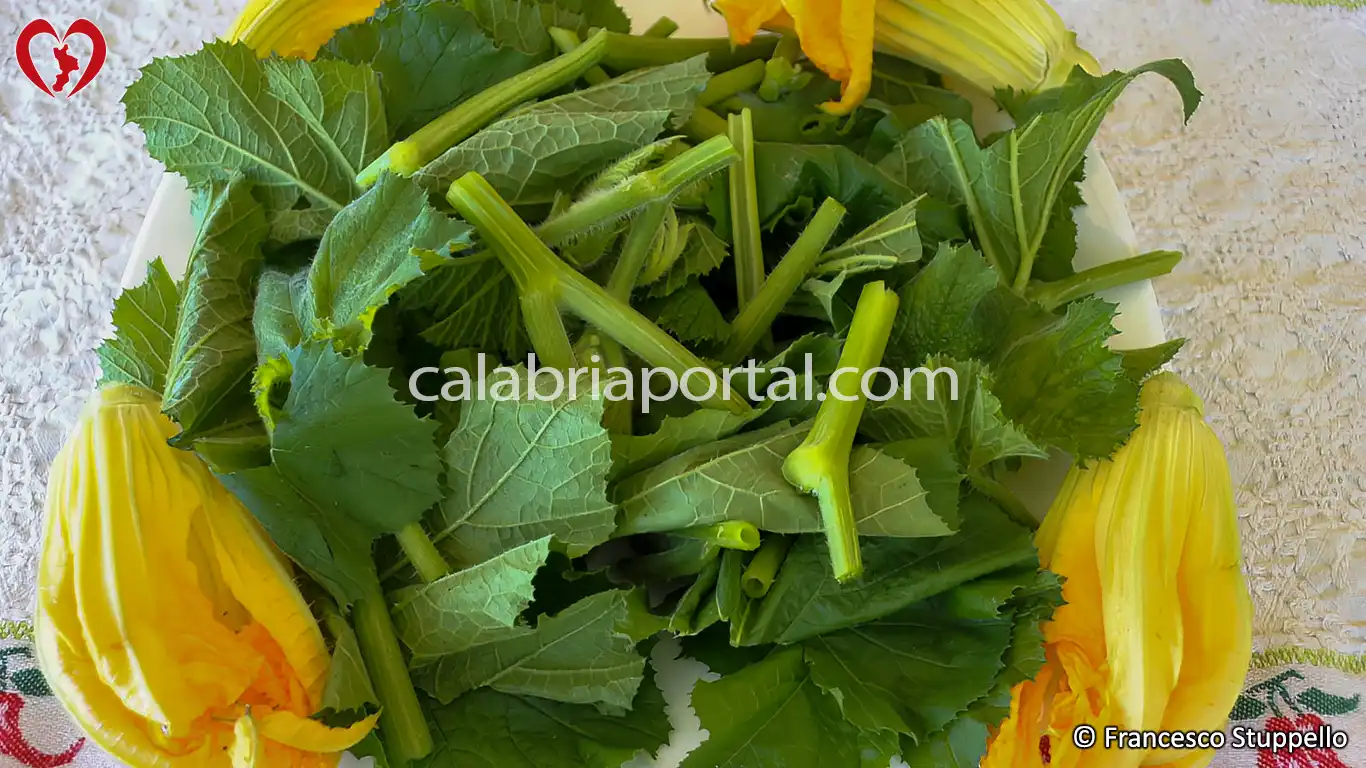 Ricetta della Pasta di Talli e Fiori di Zucca alla Calabrese