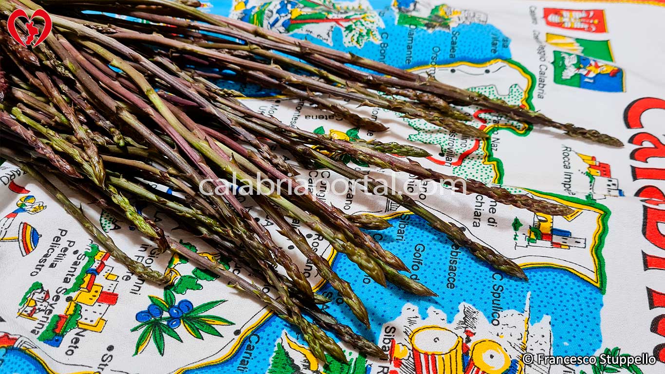 Asparagi Selvatici Calabresi