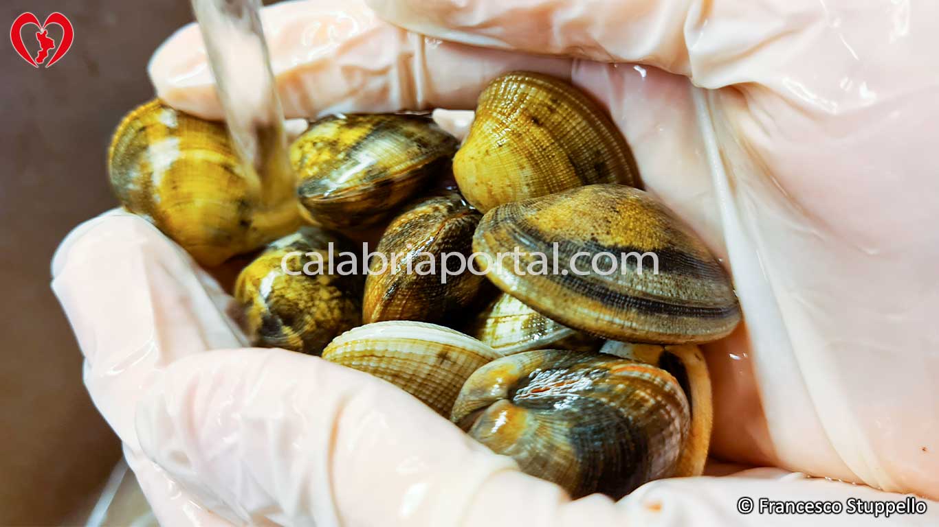 Ricetta Linguine alle Vongole: lavate bene le vongole