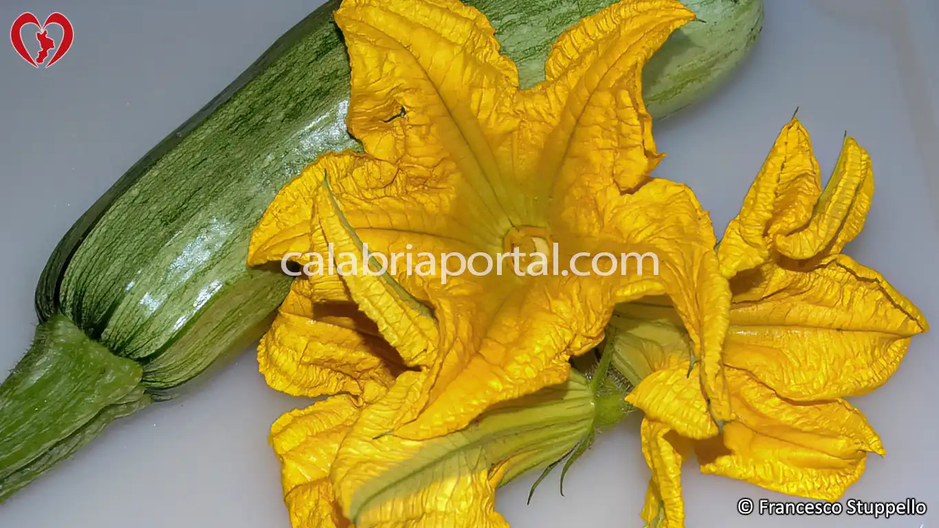 Ricetta delle Linguine con Fiori e Zucchine alla Calabrese: gli ingredienti. Ricetta delle Linguine con Fiori e Zucchine alla Calabrese: gli ingredienti.