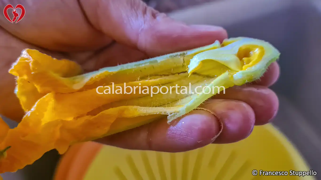 Ricetta degli Spaghetti con i Fiori di Zucca alla Calabrese: pulite e lavate i fiori di zucca Ricetta degli Spaghetti con i Fiori di Zucca alla Calabrese: pulite e lavate i fiori di zucca