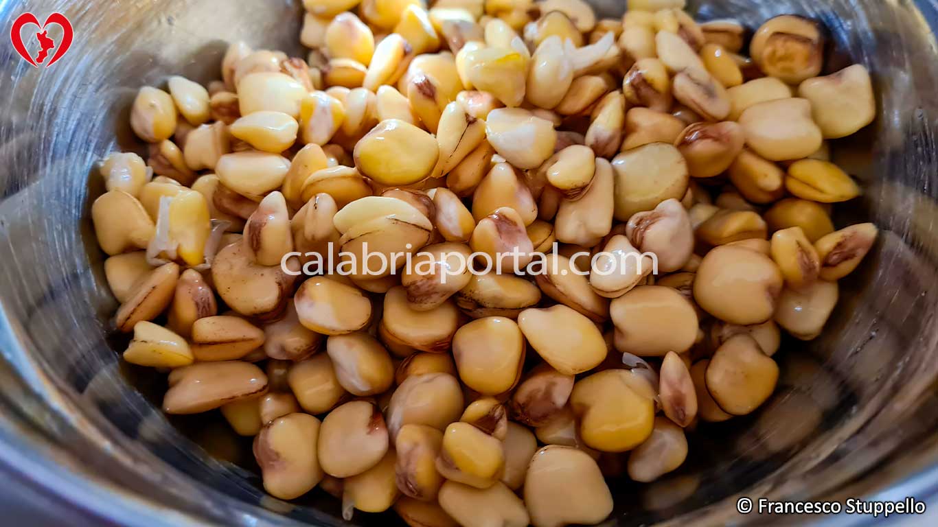 Ricetta delle Cicerchie con la Nnuglia alla Calabrese: risciacquate