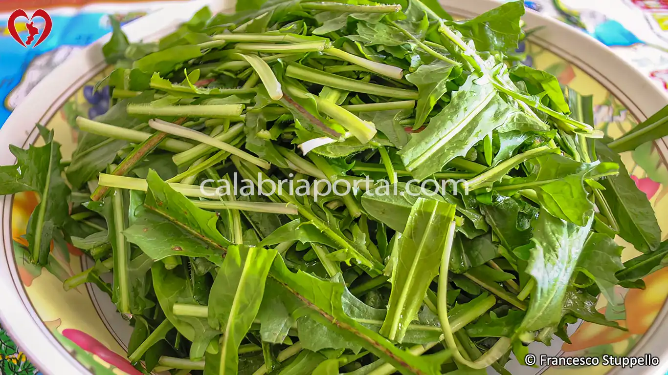 Ricetta delle Cotiche Salate e Cicoria alla Calabrese Ricetta delle Cotiche Salate e Cicoria alla Calabrese