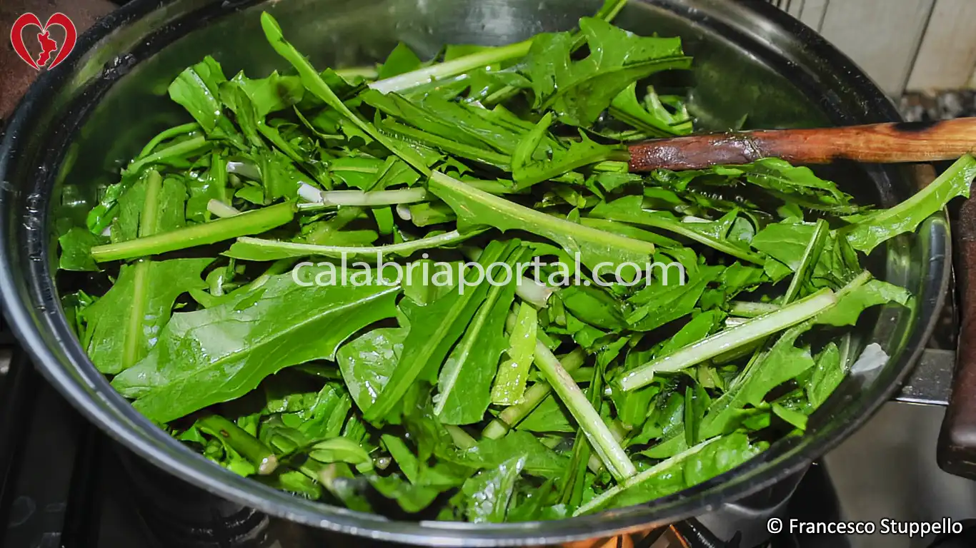 Ricetta delle Cotiche Salate e Cicoria alla Calabrese Ricetta delle Cotiche Salate e Cicoria alla Calabrese