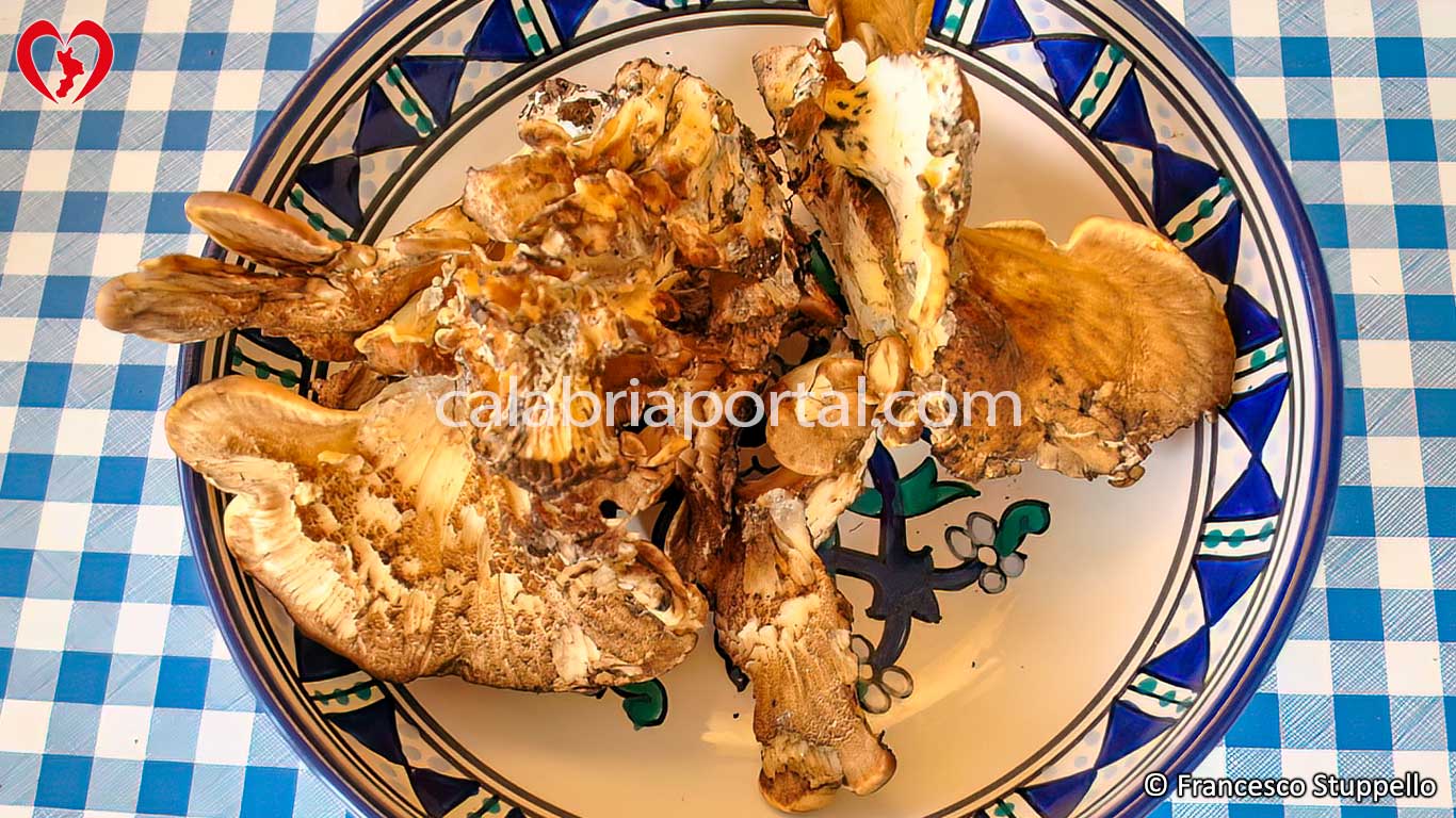 Ricetta della Grifola Frondosa al Pomodoro: gli ingredienti Ricetta della Grifola Frondosa al Pomodoro: gli ingredienti