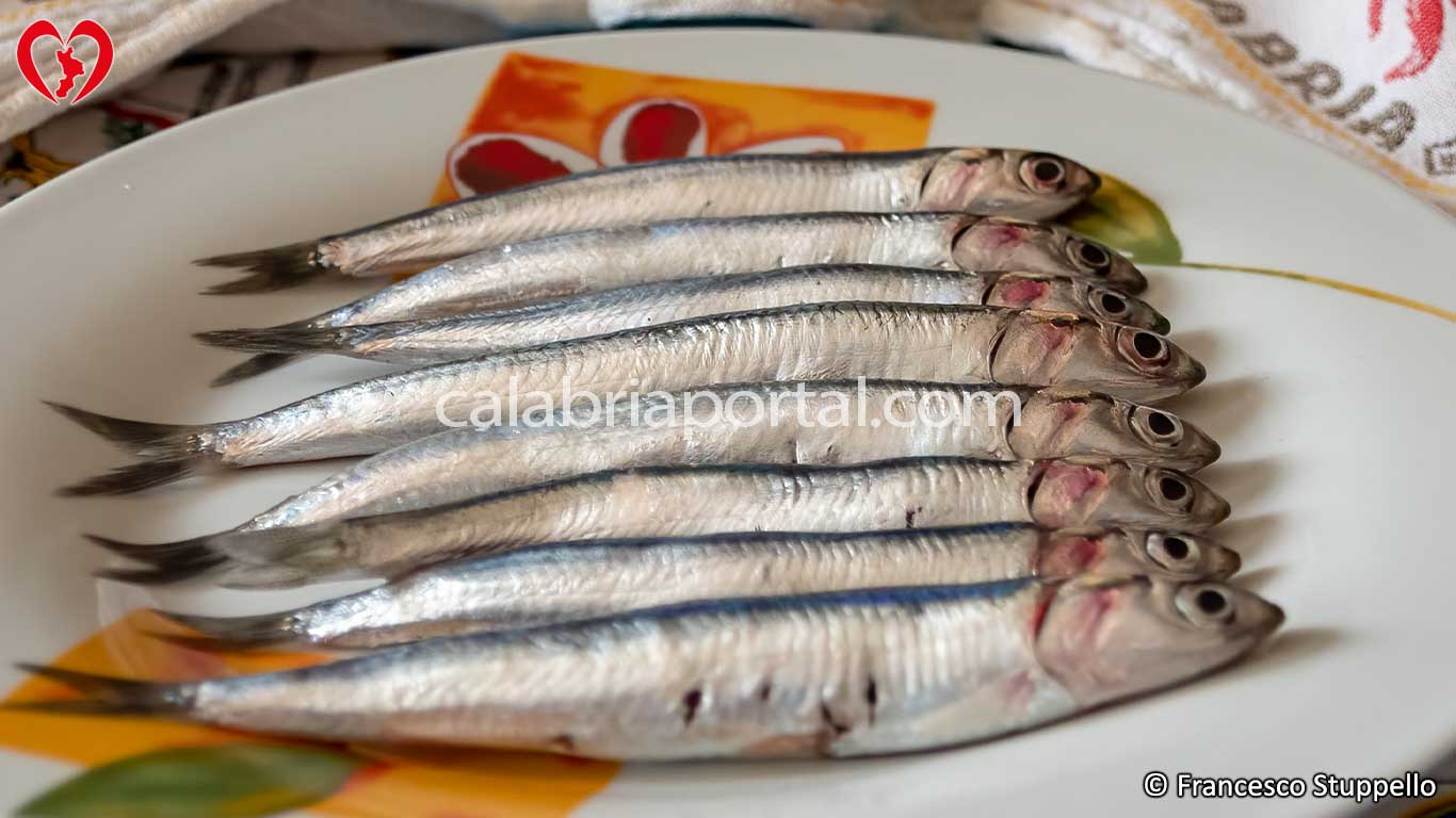 Ricetta delle Alici Ripiene alla Calabrese: le Alici