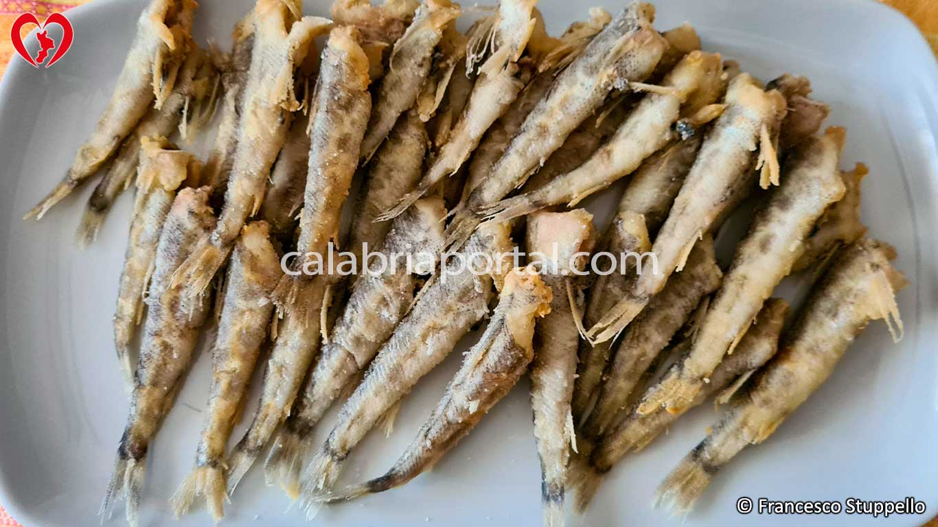 Frittura di Occhialoni