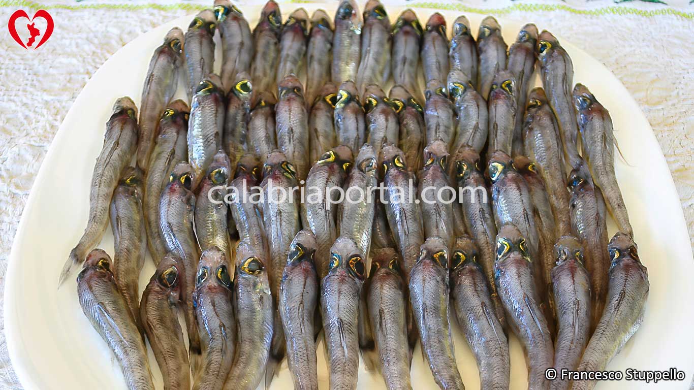 Piatto di occhialoni freschi da cucinare