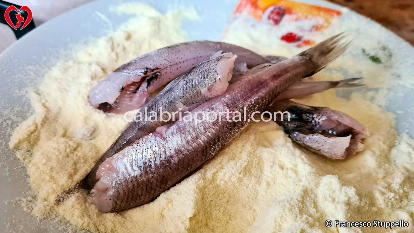 Occhialoni sulla farina di semola per la frittura