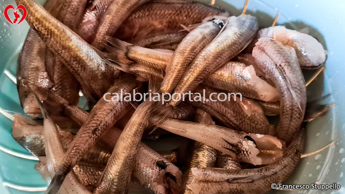 Occhialoni puliti e sventrati per la frittura