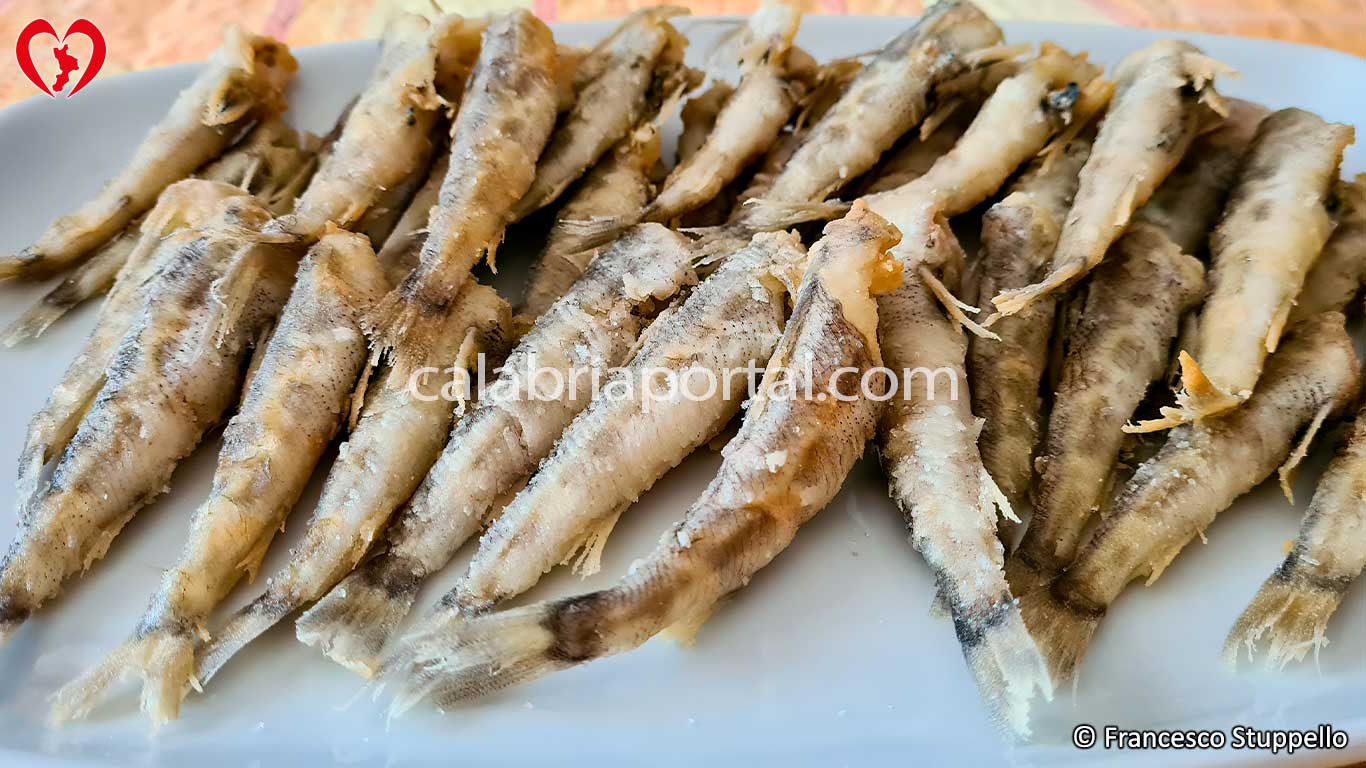 Frittura di Occhialoni