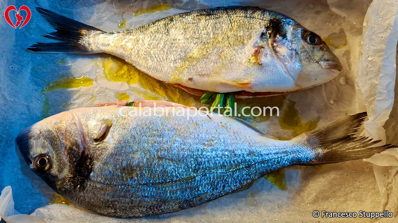 Ponete le orate in una teglia con un filo d'olio e il vino Ponete le orate in una teglia con un filo d'olio e il vino