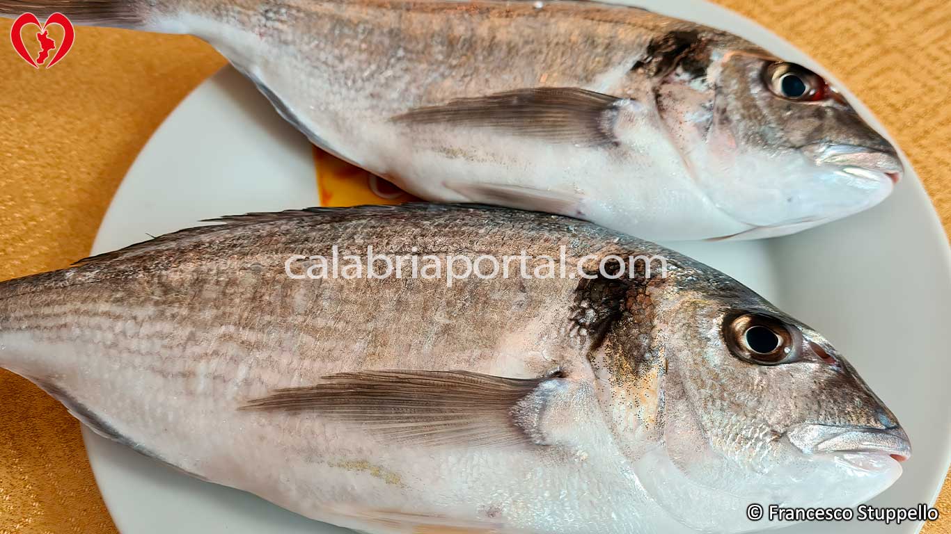 Orata Al Forno La Ricetta Originale Calabrese