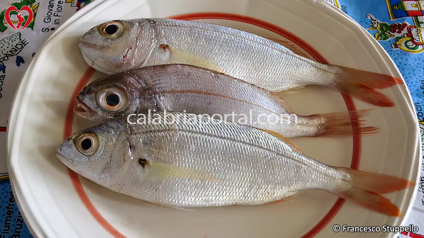 Ricetta Calabrese del Pesce Vopa al Cartoccio