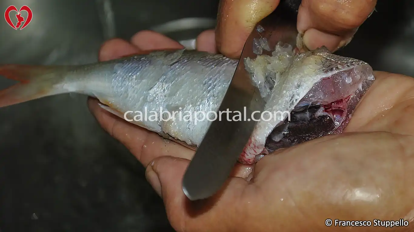 Ricetta Calabrese del Pesce Vopa al Cartoccio