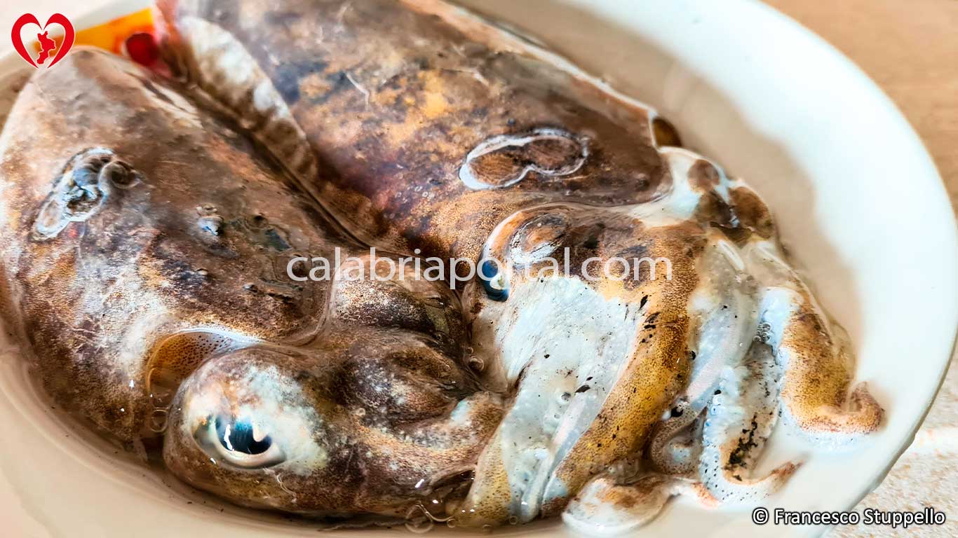 Ricetta Seppie e Patate in Umido: Le Seppie Lavate