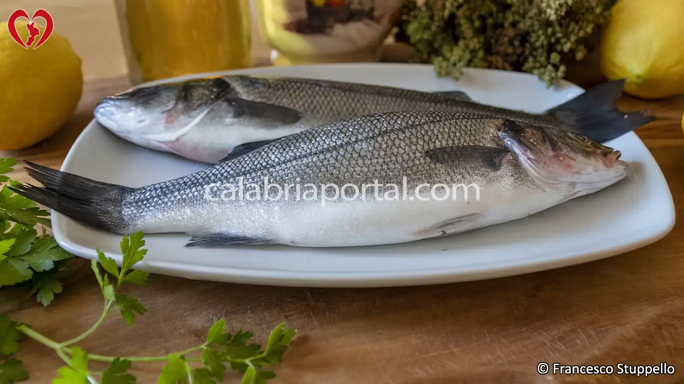Ricetta della Spigola al Forno alla Calabrese Ricetta della Spigola al Forno alla Calabrese