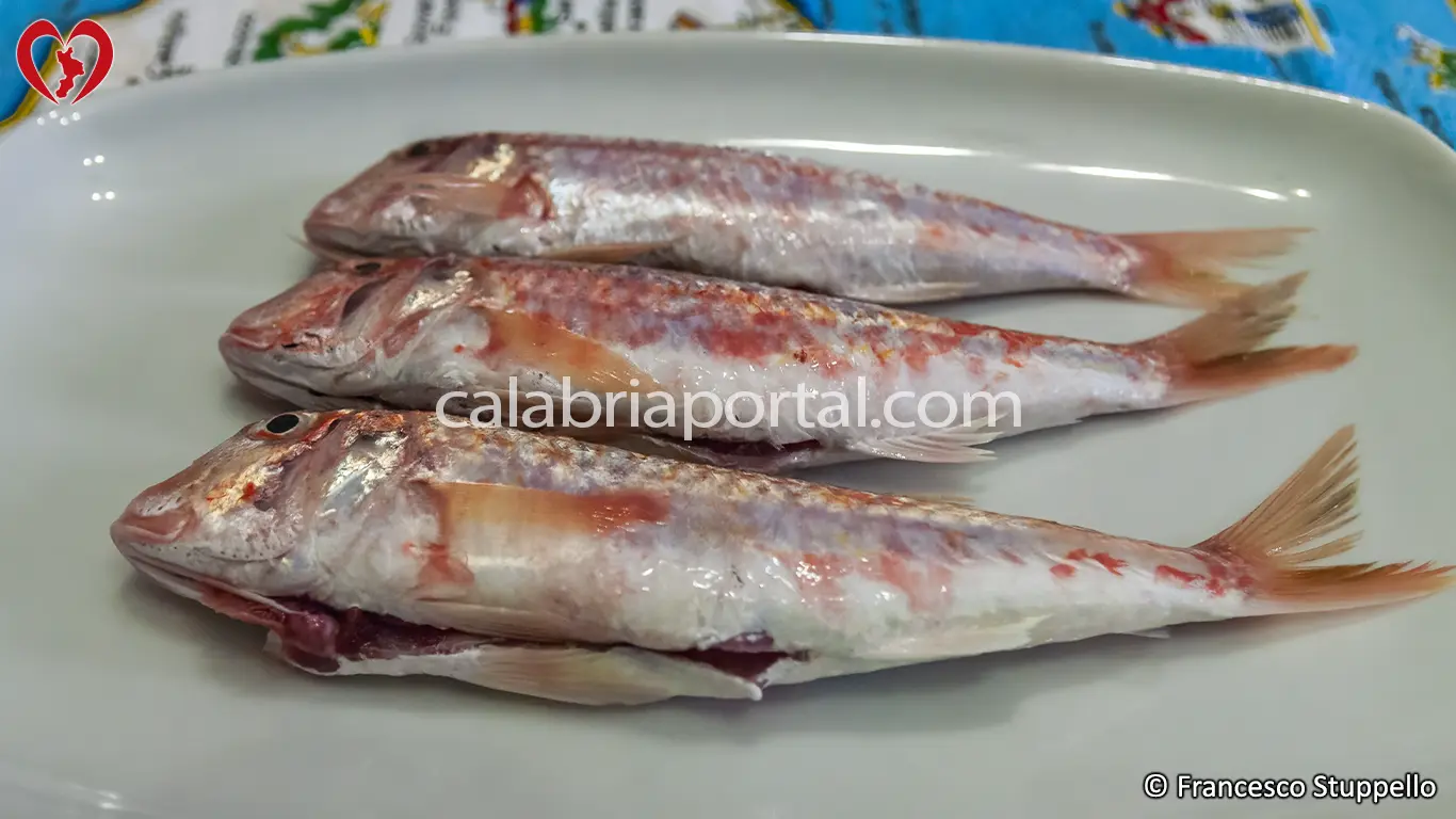 Ricetta delle Triglie all'Origano alla Calabrese: lavate e sviscerate le triglie. Ricetta delle Triglie all'Origano alla Calabrese: lavate e sviscerate le triglie.
