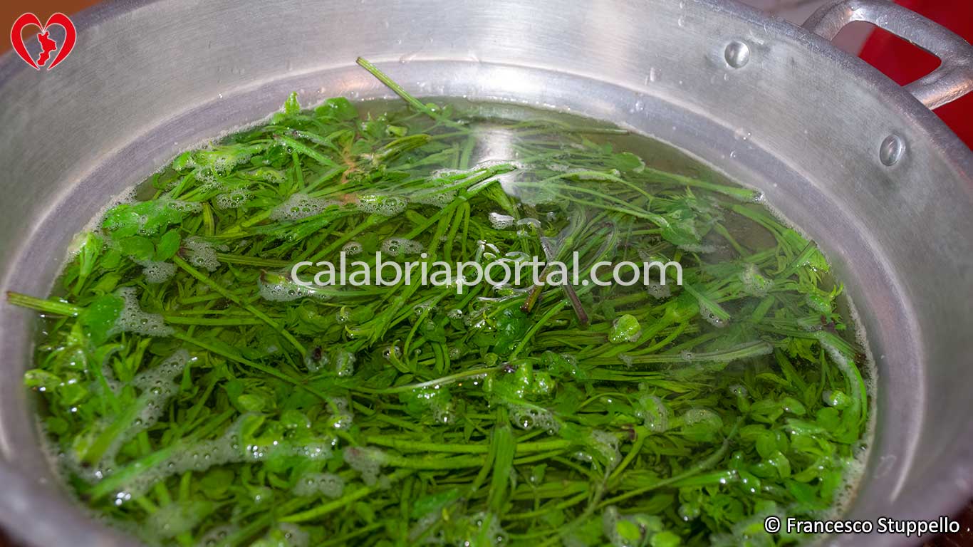 Ricetta delle Cime di Vitalba con Uova Strapazzate alla Calabrese: fateli sbollentare per qualche minuto Ricetta delle Cime di Vitalba con Uova Strapazzate alla Calabrese: fateli sbollentare per qualche minuto