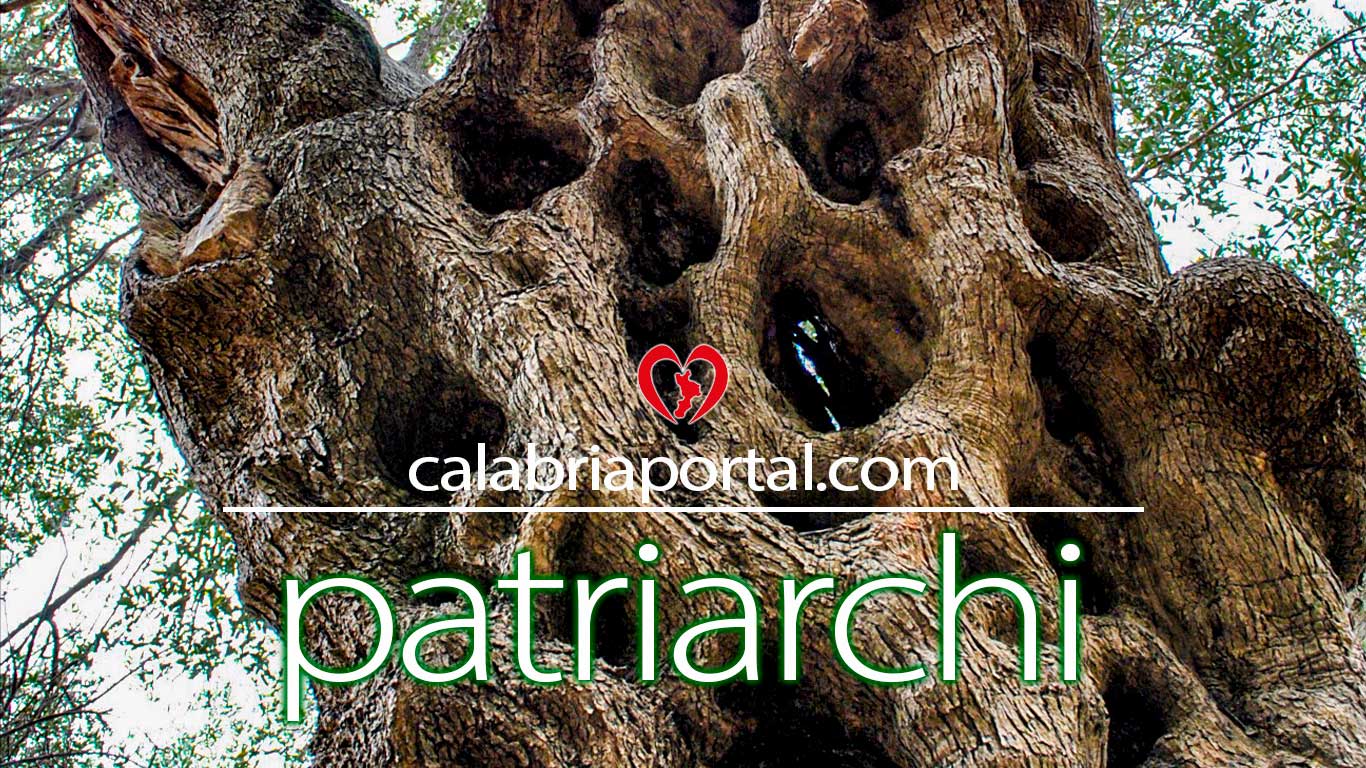 Patriarchi della Calabria