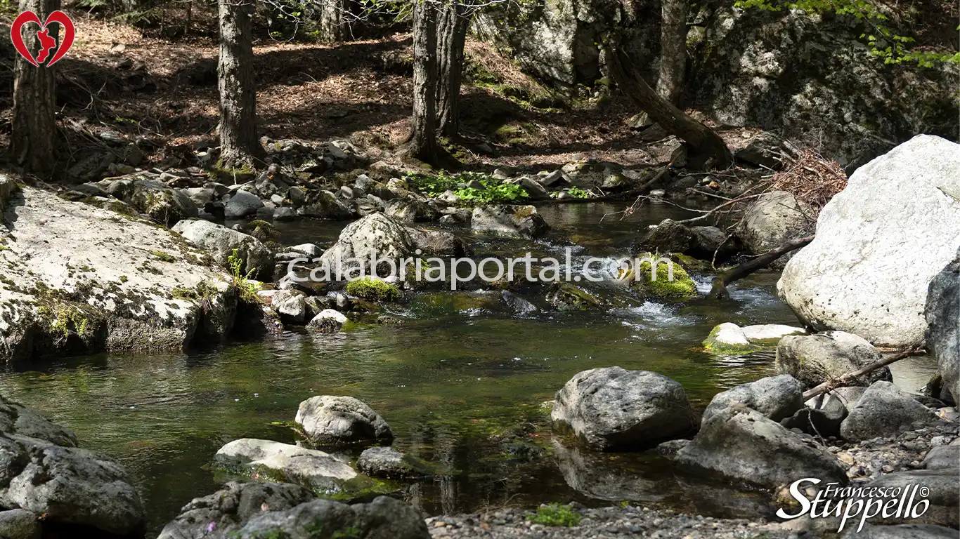 Scorcio del Corso dell'Amendolea nel Parco Nazionale dell'Aspromonte Scorcio del Corso dell'Amendolea nel Parco Nazionale dell'Aspromonte
